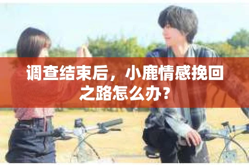 调查结束后,小鹿情感挽回之路怎么办? 调查结束后,小鹿情感挽回之路怎么办?