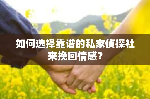 如何选择靠谱的私家侦探社来挽回情感？