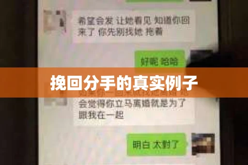 挽回分手的真实例子