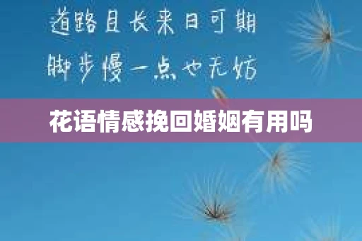 花语情感挽回婚姻有用吗