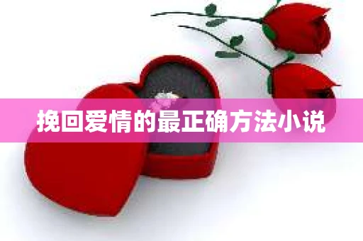挽回爱情的最正确方法小说