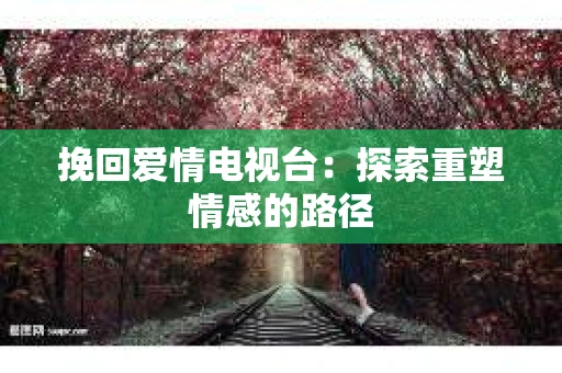 挽回爱情电视台：探索重塑情感的路径