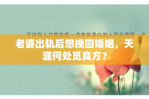 老婆出轨后想挽回婚姻，天涯何处觅良方？