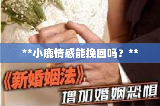 **小鹿情感能挽回吗？**
