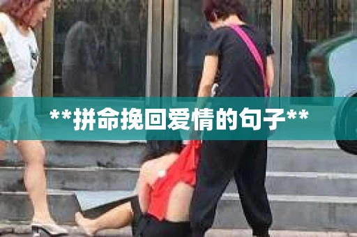 **拼命挽回爱情的句子**