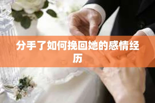 分手了如何挽回她的感情经历