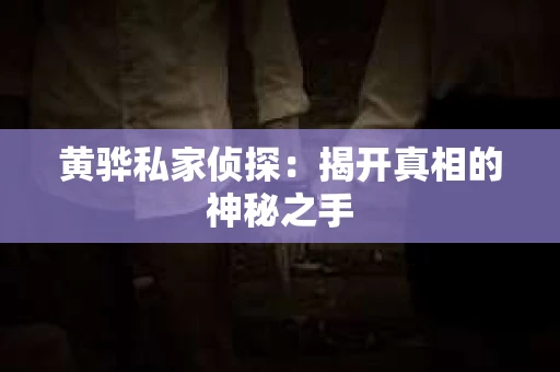黄骅私家侦探：揭开真相的神秘之手