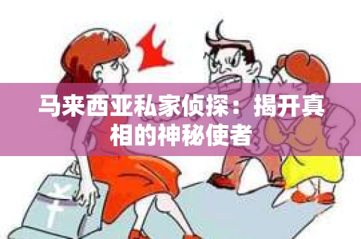 马来西亚私家侦探：揭开真相的神秘使者