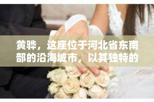 黄骅，这座位于河北省东南部的沿海城市，以其独特的地理位置和丰富的历史文化而闻名。然而，在这座城市中，还有一群人，他们以另一种方式默默守护着社会的公平与正义——私家侦探。今天，我们就来聊聊黄骅的私家侦探，看看他们是如何在这个城市中发挥作用的。