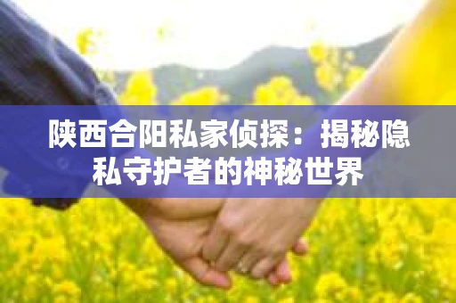 陕西合阳私家侦探：揭秘隐私守护者的神秘世界