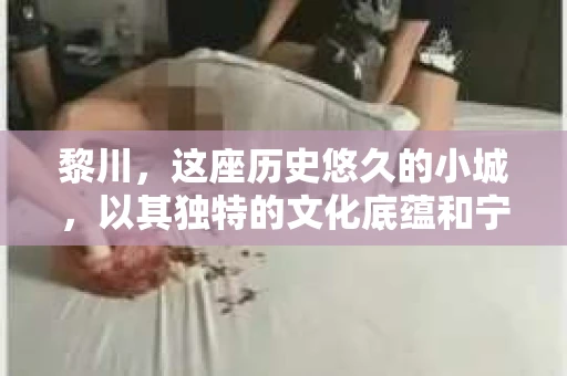 黎川，这座历史悠久的小城，以其独特的文化底蕴和宁静的生活节奏吸引着无数游客。然而，在这样一个看似平静的城市里，你是否会好奇，有没有私家侦探机构的存在呢？今天，就让我带你一探究竟。