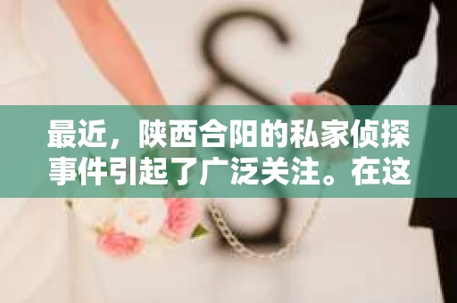 最近，陕西合阳的私家侦探事件引起了广泛关注。在这个信息爆炸的时代，隐私保护显得尤为重要。今天，我们就来聊聊这个事件，看看它背后的一些故事。