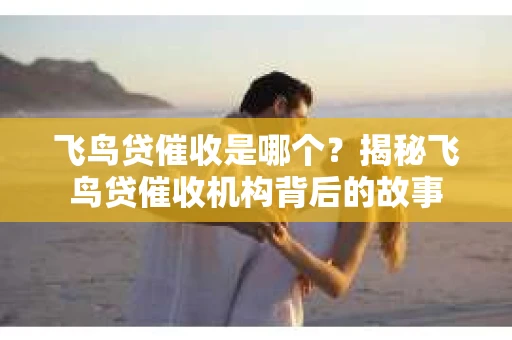 飞鸟贷催收是哪个？揭秘飞鸟贷催收机构背后的故事