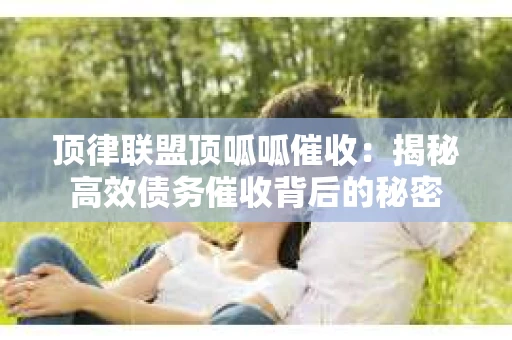 顶律联盟顶呱呱催收：揭秘高效债务催收背后的秘密