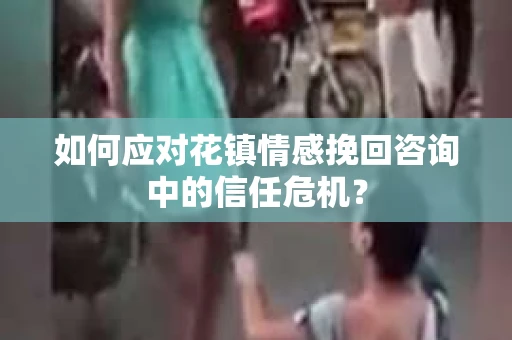 如何应对花镇情感挽回咨询中的信任危机？