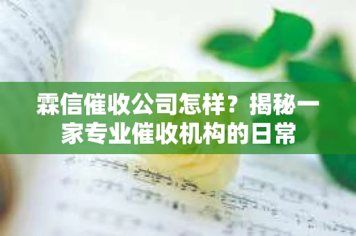 霖信催收公司怎样？揭秘一家专业催收机构的日常