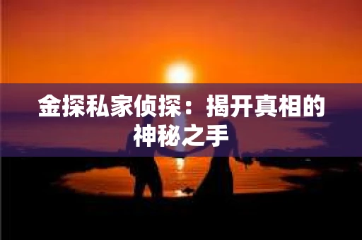 金探私家侦探：揭开真相的神秘之手