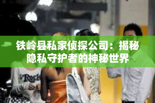 铁岭县私家侦探公司：揭秘隐私守护者的神秘世界