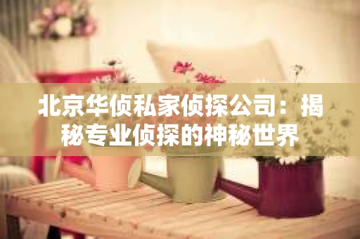 北京华侦私家侦探公司：揭秘专业侦探的神秘世界