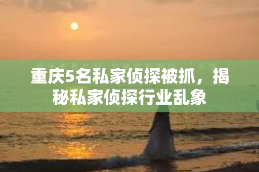重庆5名私家侦探被抓，揭秘私家侦探行业乱象