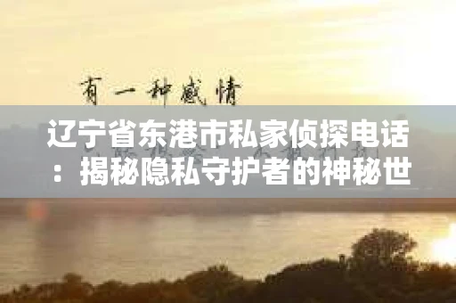 辽宁省东港市私家侦探电话：揭秘隐私守护者的神秘世界