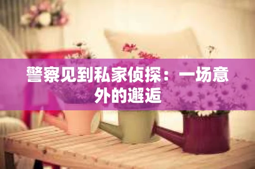 警察见到私家侦探：一场意外的邂逅