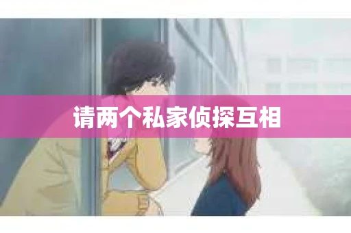 请两个私家侦探互相