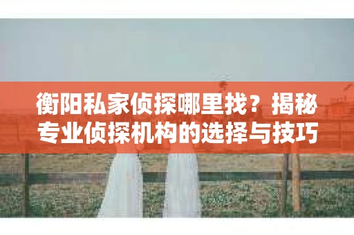 衡阳私家侦探哪里找？揭秘专业侦探机构的选择与技巧