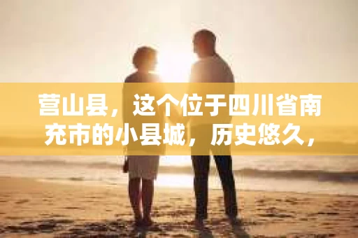 营山县，这个位于四川省南充市的小县城，历史悠久，风景秀丽。但在这个宁静的小县城里，你是否会好奇，有没有私家侦探的存在呢？今天，我就来和大家聊聊这个话题。
