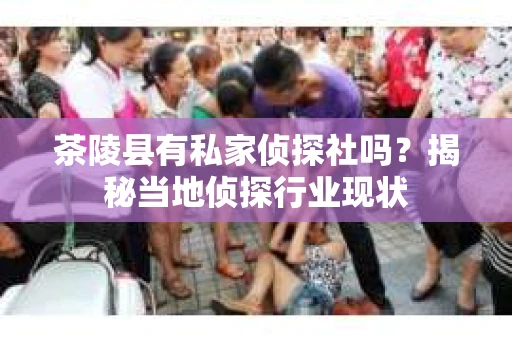 茶陵县有私家侦探社吗？揭秘当地侦探行业现状