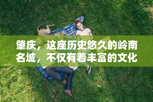 肇庆，这座历史悠久的岭南名城，不仅有着丰富的文化遗产，还有着独特的现代生活节奏。在这个城市里，你是否曾有过需要帮助解决一些棘手问题的时候？或许，你听说过肇庆有私家侦探，那么，他们究竟是怎样的存在呢？