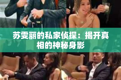 苏雯丽的私家侦探：揭开真相的神秘身影