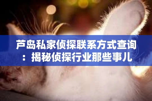 芦岛私家侦探联系方式查询：揭秘侦探行业那些事儿