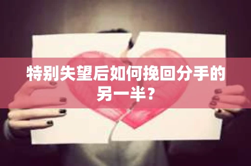 特别失望后如何挽回分手的另一半? 特别失望后如何挽回分手的另一半?