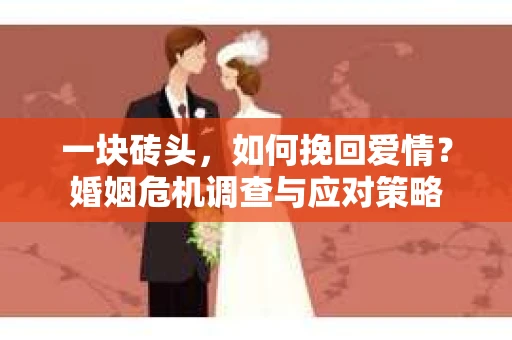 一块砖头，如何挽回爱情？婚姻危机调查与应对策略