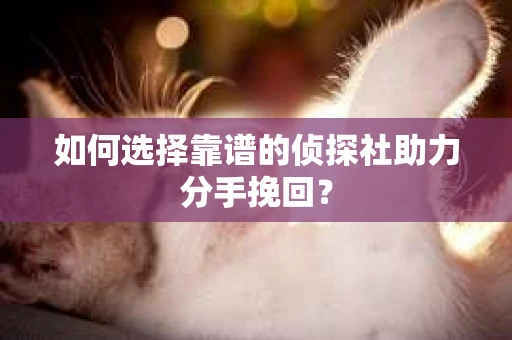 如何选择靠谱的侦探社助力分手挽回? 如何选择靠谱的侦探社助力分手挽回?