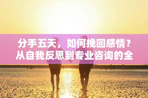 分手五天，如何挽回感情？从自我反思到专业咨询的全面解决方案