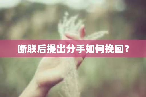断联后提出分手如何挽回？