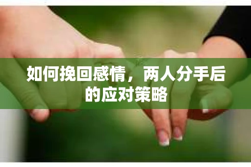 如何挽回感情,两人分手后的应对策略 如何挽回感情,两人分手后的应对策略