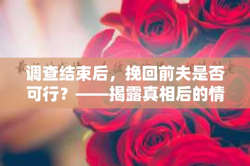 调查结束后，挽回前夫是否可行？——揭露真相后的情感疗愈与人生决策